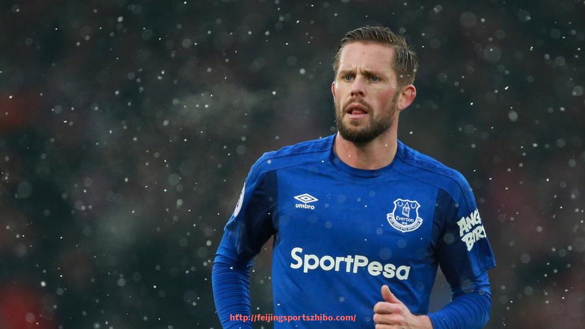 飞鲸体育直播-国内西甲直播版权现状及观看渠道详解